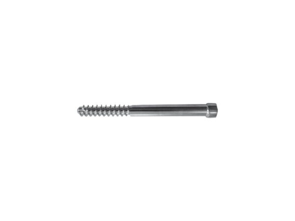 Lag Screw fro Reconstruction Nail