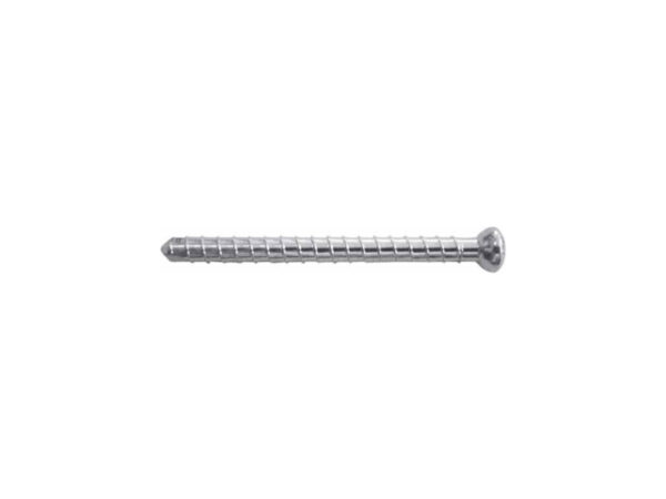Locking Screw (Proximal / Distal) Fully Threaded
